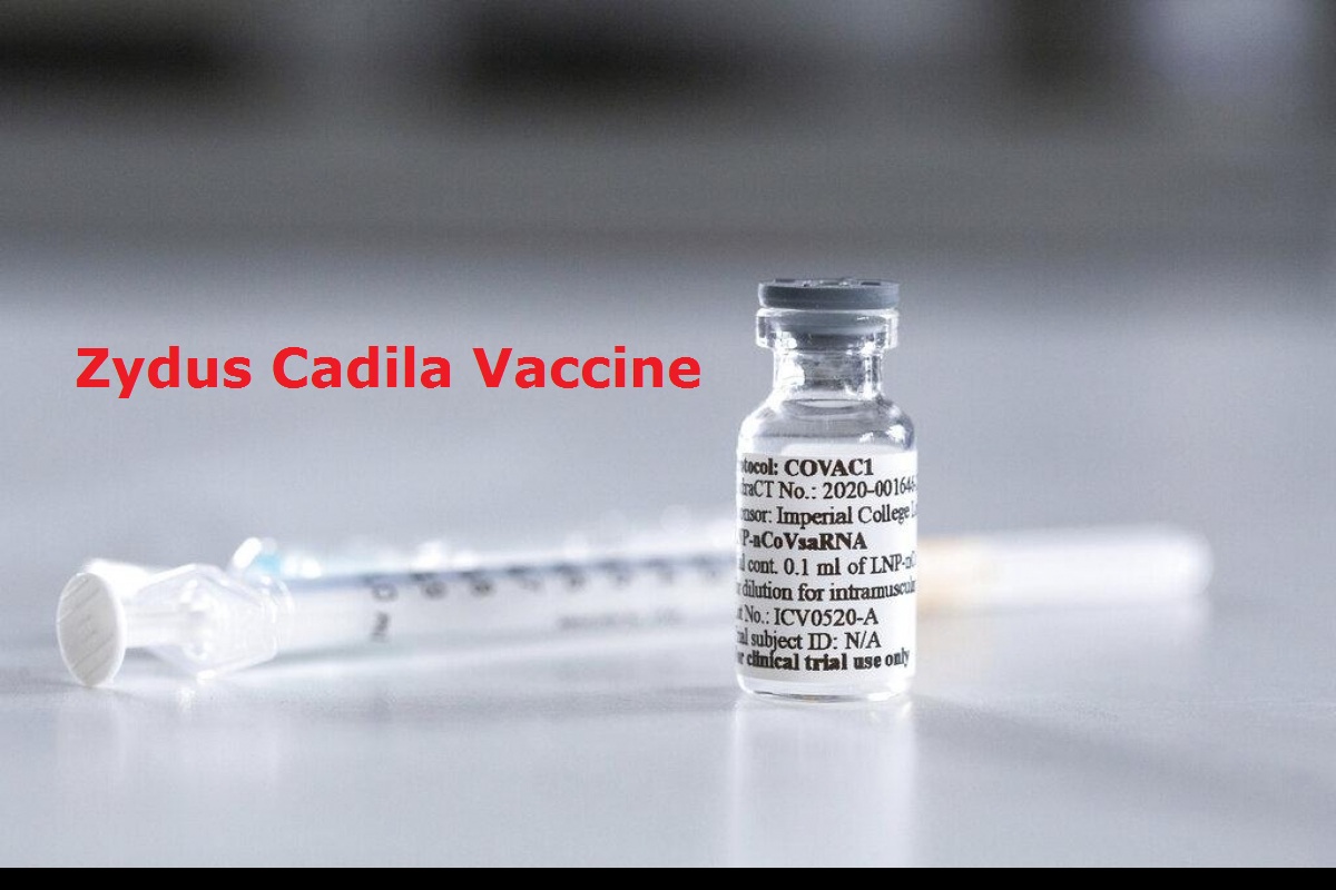 Zydus Cadila Vaccine