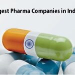 10 largest Pharmaceutical Companies in India 2024