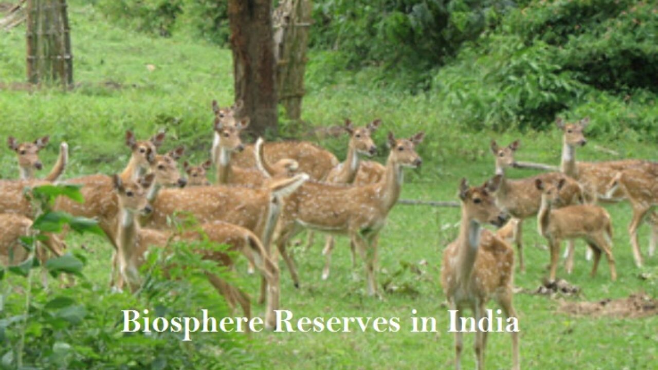 18 Biosphere reserves in India: Check latest List of all Biosphere Reserves  in India 2023