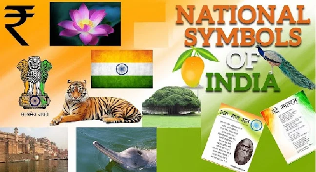 Know various National symbols of India - Flag, Animal, and Currency. -  Edudwar