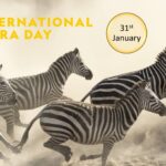 International Zebra Day 2023