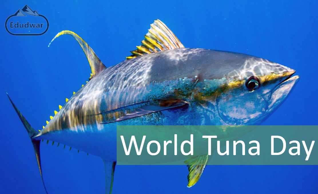 World Tuna Day