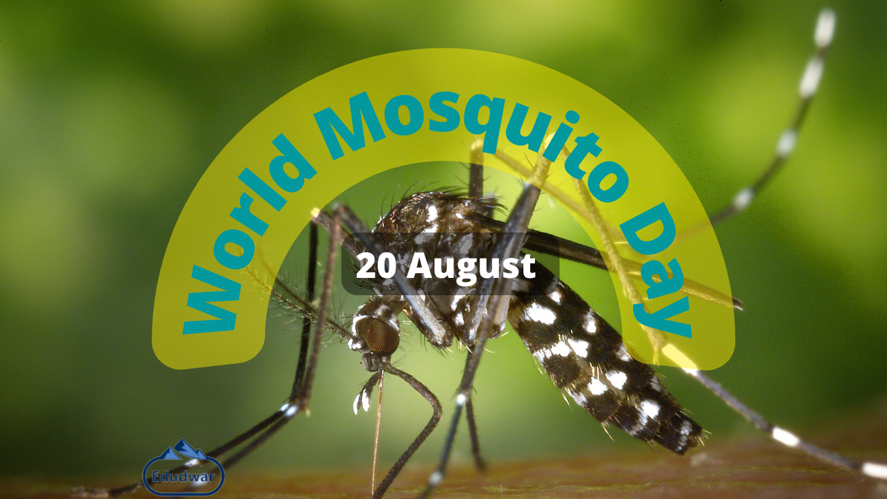 World Mosquito Day 2023