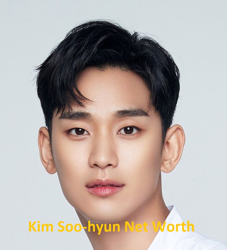 Kim Soo-hyun Net Worth