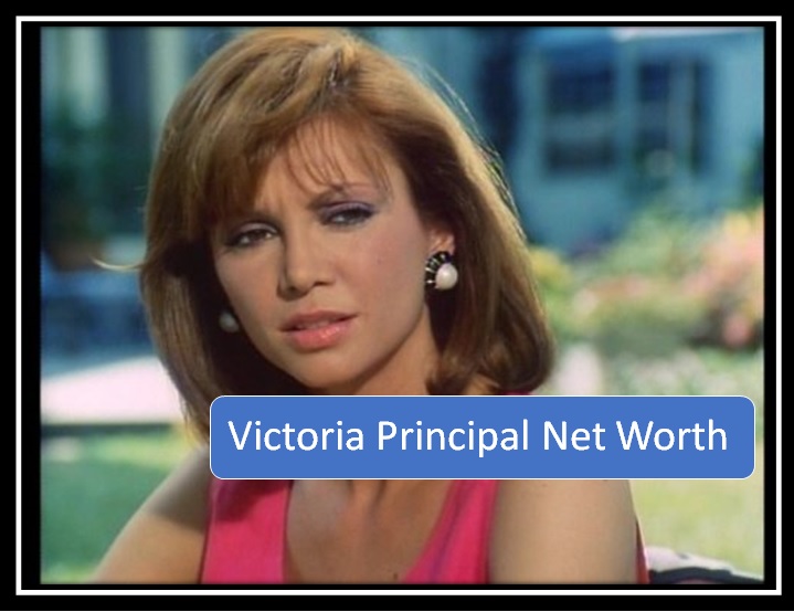 Victoria's Principal net worth