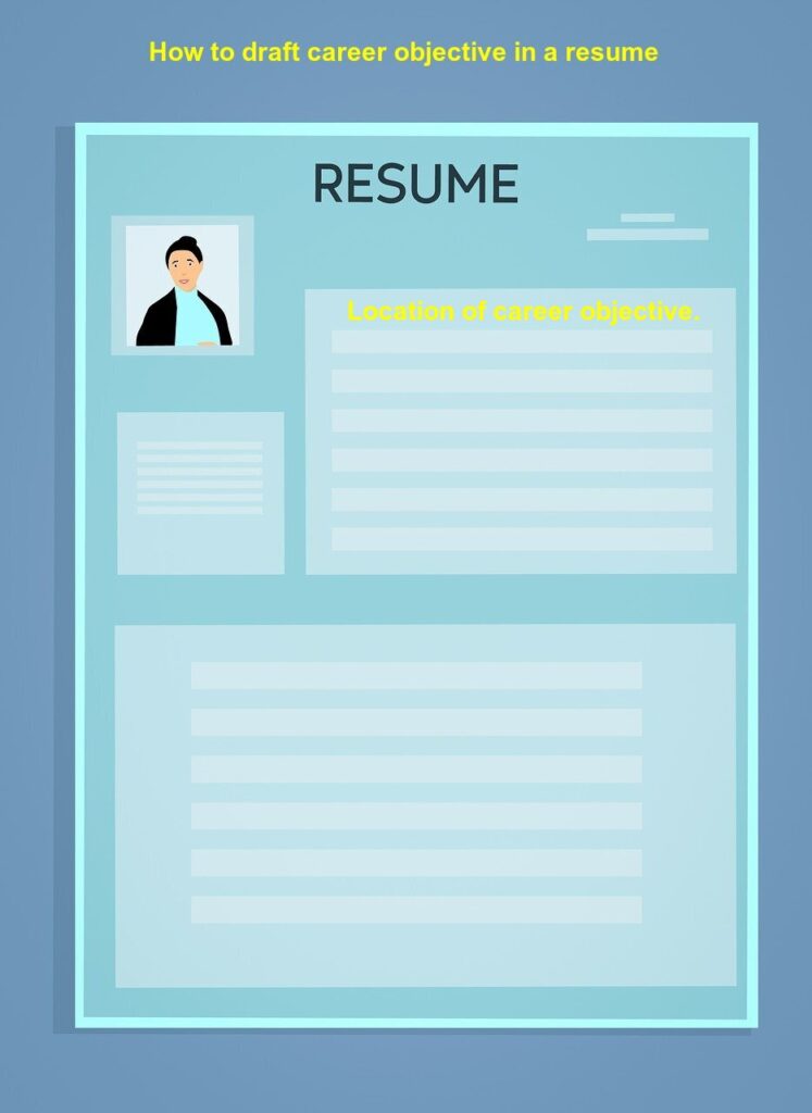 Career Objective in a resume 