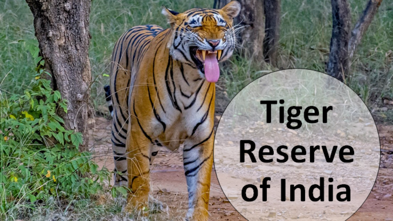 List of All Tiger Reserve of India - Edudwar