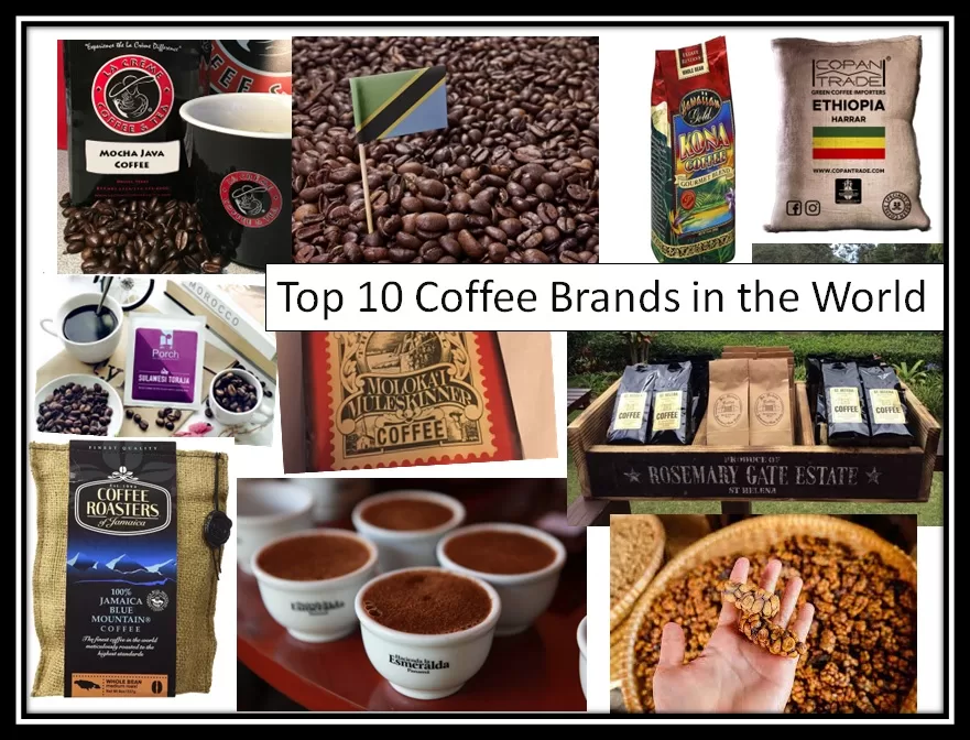 best Coffee Brands in the World