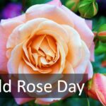 world rose day 2023