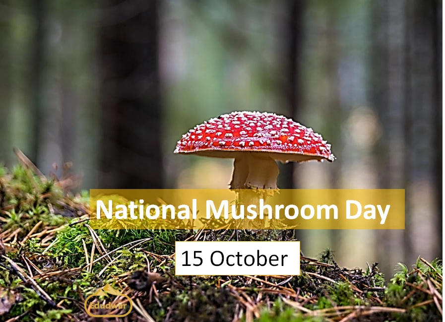 National Mushroom Day 2023